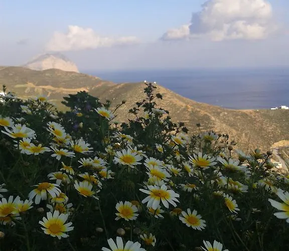 아파트 Antonia 아나피