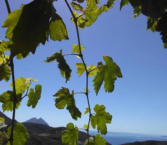 Апартаменты Antonia *